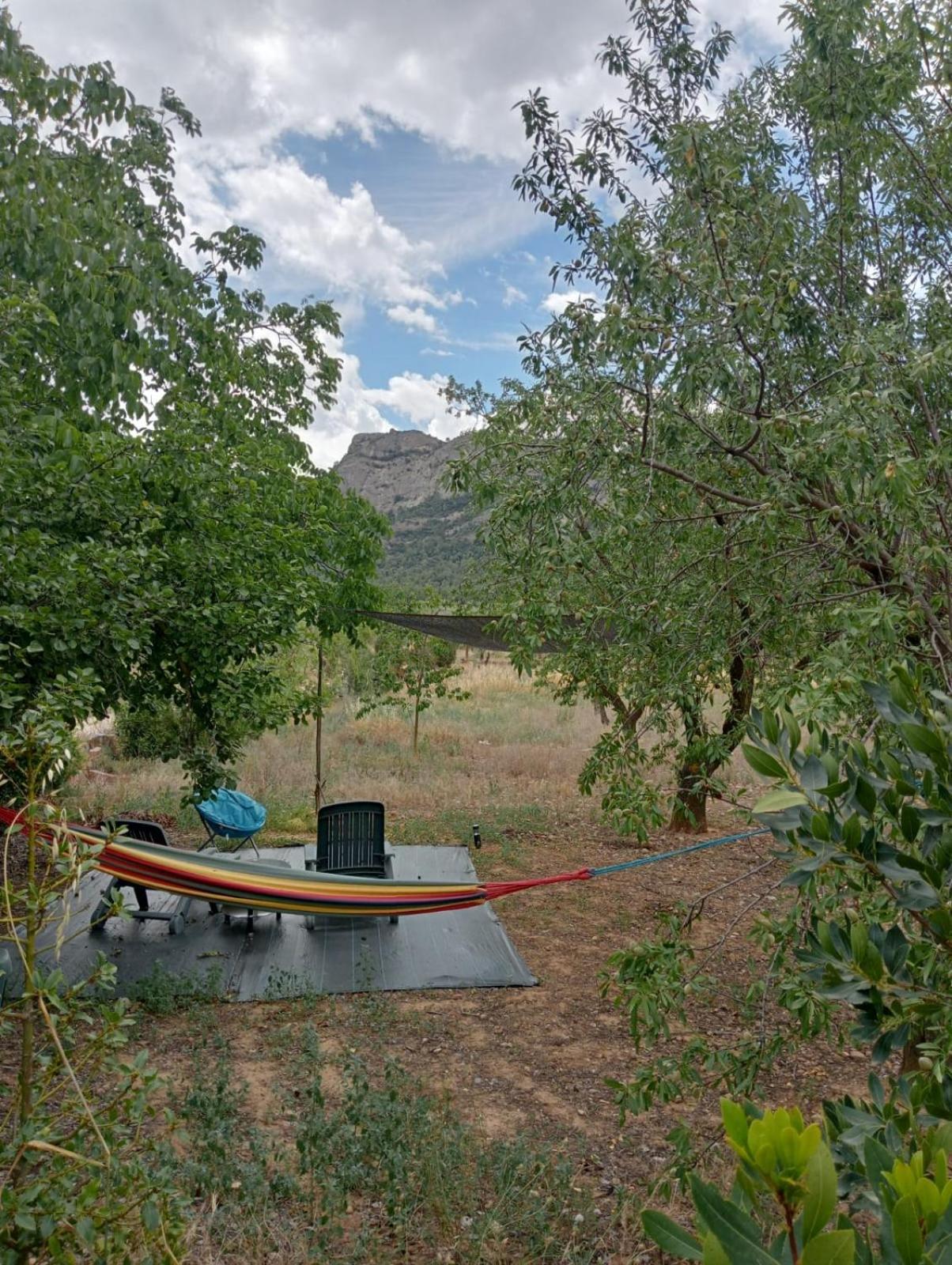 Ferienwohnung Mas De Manresa Horta de Sant Joan Exterior foto