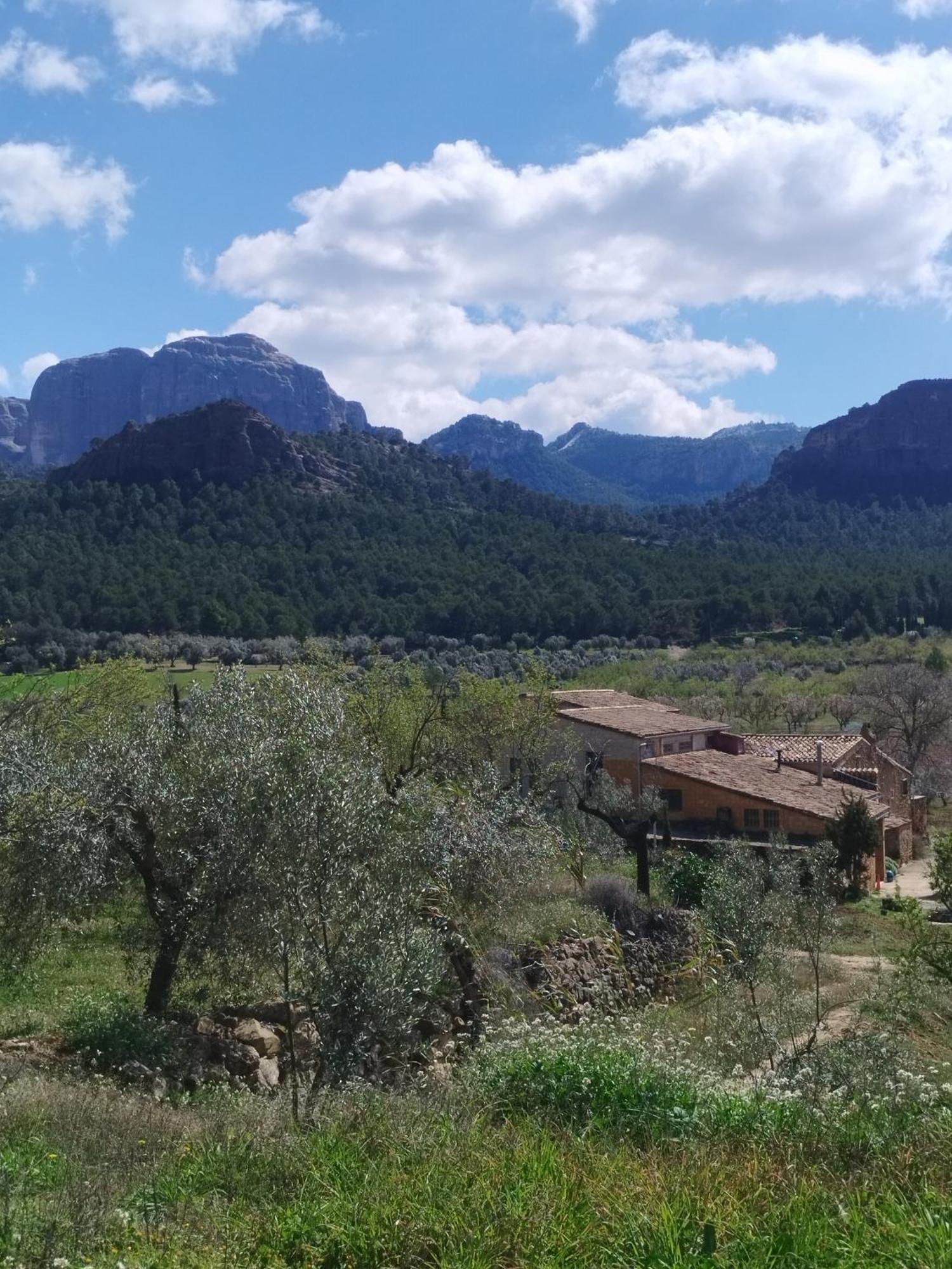 Ferienwohnung Mas De Manresa Horta de Sant Joan Exterior foto
